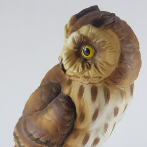 日本製貓頭鷹Short-eared Owl擺飾 Andrea by Sadek